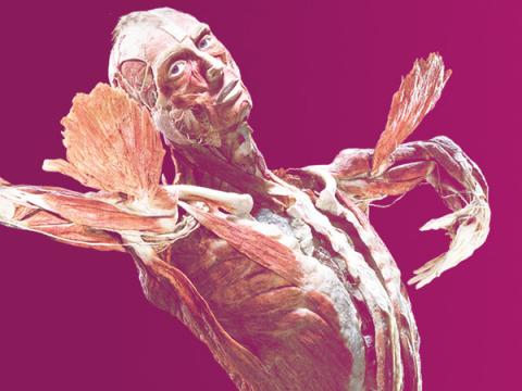 copertina mostra body worlds